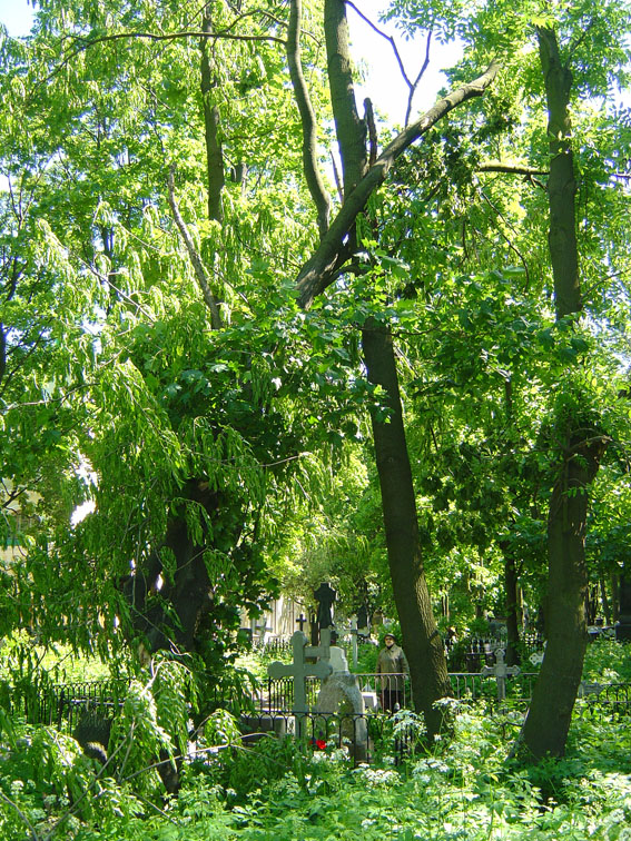 ������������� ������. ���������� ����� 09 ���� 2008 ����.