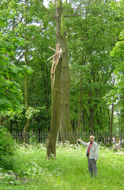 �������� �������� ����������, 16 ���� 2008 ����. ���� 01