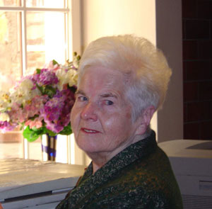 �������������� ���������� ����������