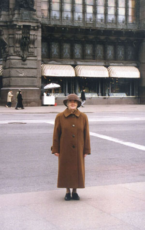 �������������� ���������� ����������